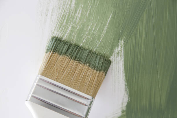 Best Emergency Mold Remediation  in Waverly, IL