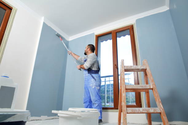 Best Post-Remediation Verification Testing  in Waverly, IL