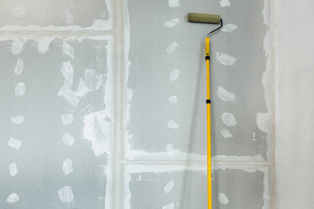 Best Mold Documentation for Insurance Claims  in Waverly, IL