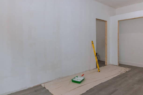  Waverly, IL Mold Removal Pros