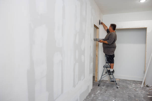 Best Environmental Consulting for Mold Prevention  in Waverly, IL