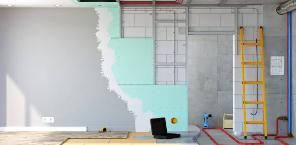 Best Mold Damage Restoration  in Waverly, IL