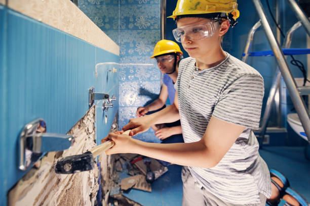 Best Black Mold Removal  in Waverly, IL
