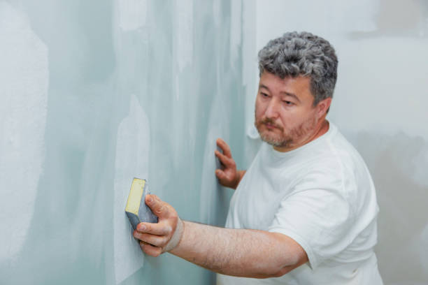 Best Mold Odor Removal Services  in Waverly, IL