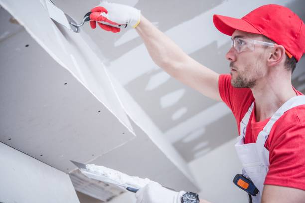 Best Industrial Mold Remediation  in Waverly, IL
